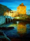 CAS12 Eilean Donan castle , flood lit.