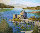 CAS48 Eilean Donan Castle. From the wooded hill by the castle.